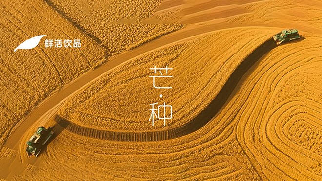 芒種丨忙而不茫，種有回響