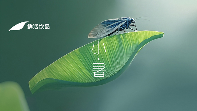 小暑丨風(fēng)過檐角，夏淺情長