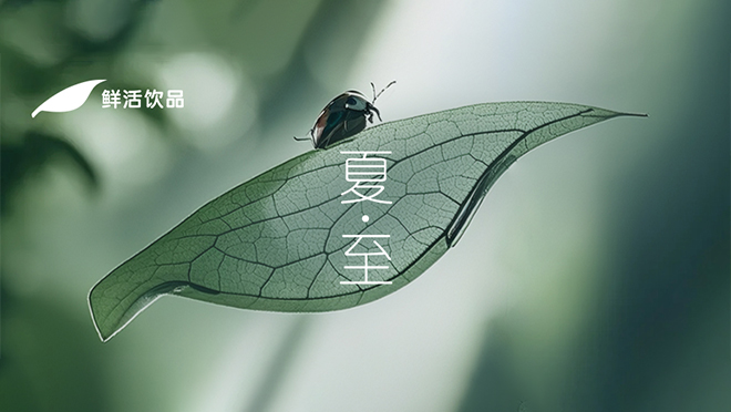 夏至丨晨露清響，向光而長